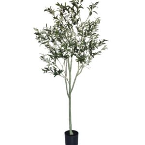 Product 01