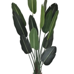 Product 02